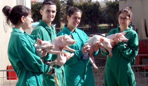 CienciaSalutAnimalUdL